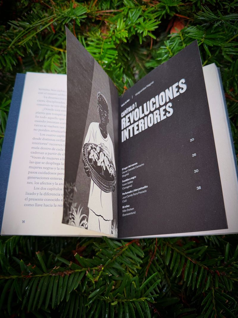 The chapter page Revoluciones interiores, listing El lugar del menos by Deyner Caicedo Camacho